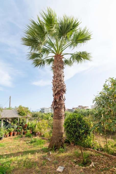 Dream House Preveza Exterior foto